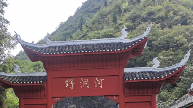 huang ping ye dong he xia dong pu bu piao