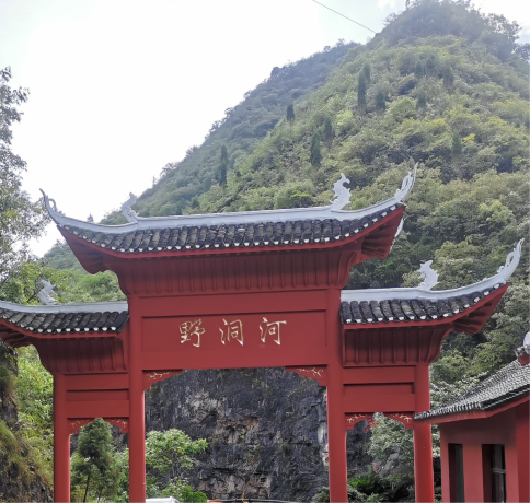 huang ping ye dong he xia dong pu bu piao