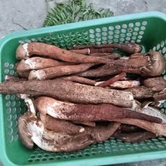 抚海湾石锅鱼·野生菌·猪肚包鸡(三十六年店) User Photo