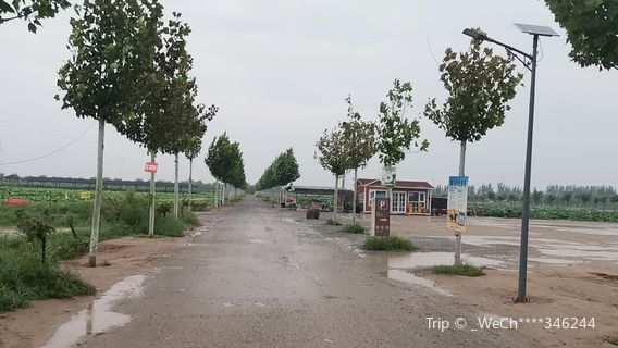 Yellow River Longze Garden