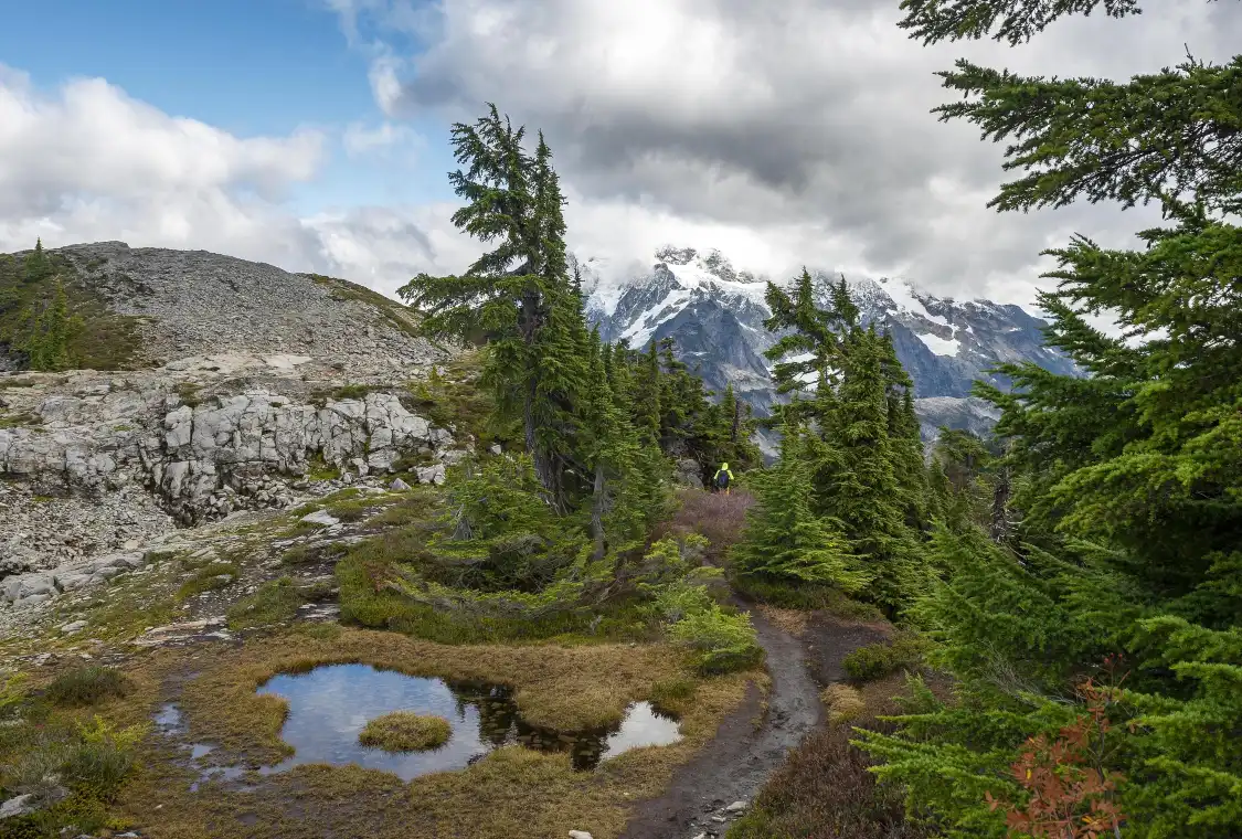 Các khách sạn gần Table Mountain