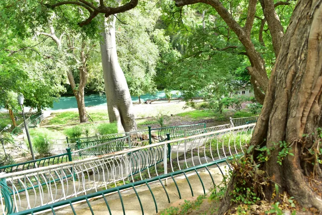 Отзывы об отеле Swiss International the Vistana-Lekki