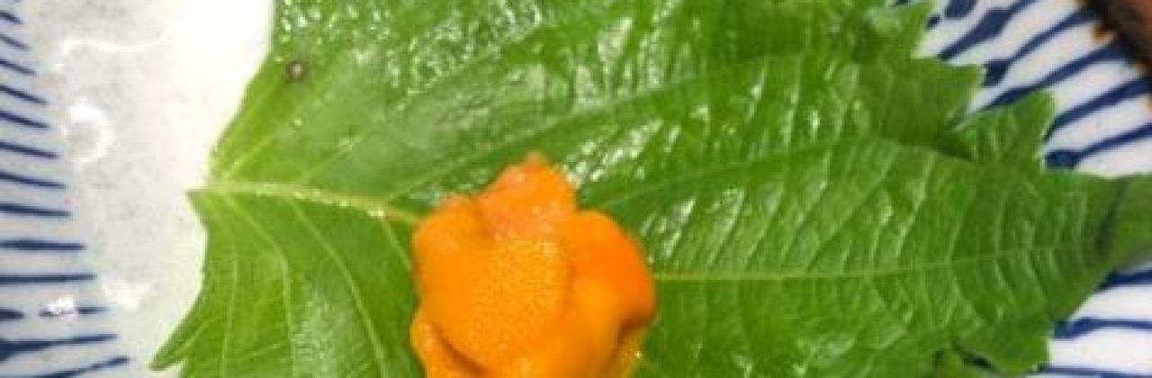 亞馬遜環球海鮮姿造（王府井店）