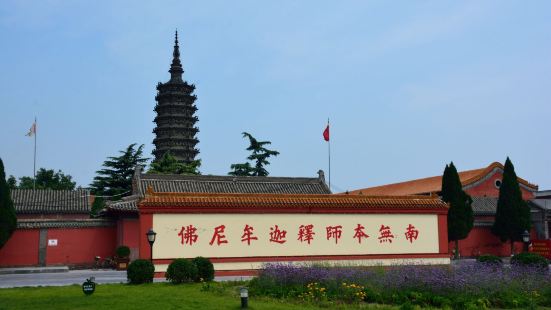 临济寺位于石家庄市正定县燕南大街临济路上，是正定四塔名寺之一