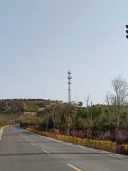 東山五龍生態森林公園