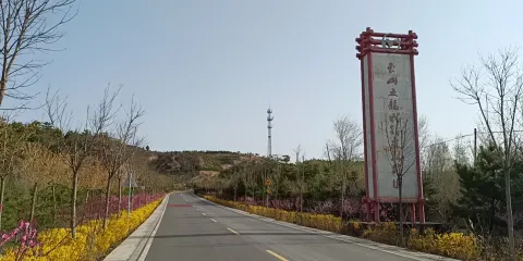 東山五龍城郊森林公園