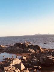 First Bathing Beach