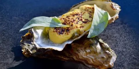 Chateau du Clos de la Ribaudiere