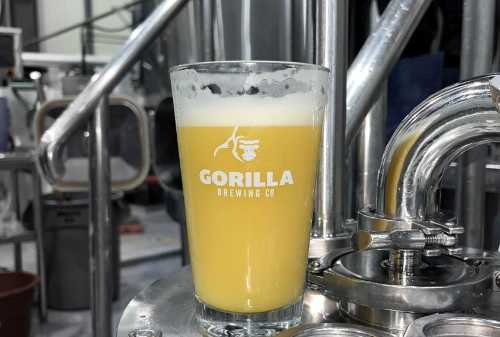Gorilla Brewing