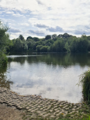 Lakeside Country Park