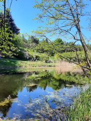 Jeli Arboretum Nature Reserve