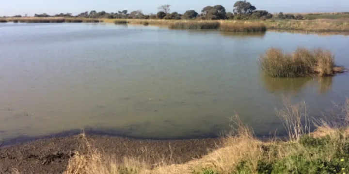 The Western Treatment Plant
