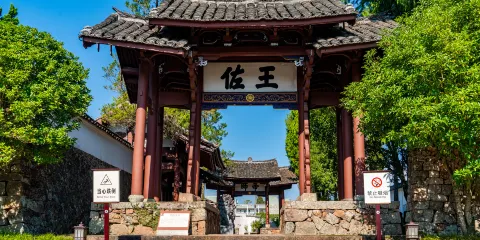 温州文成一日遊【10人小團/含市區部分酒店上門接送/含門票】