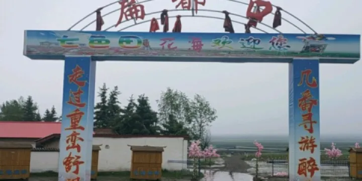 扁都口七色田花海