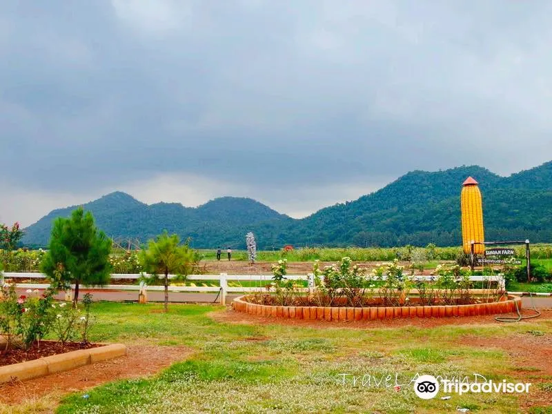 Pak Chong Subdistrict