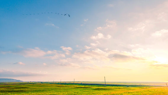 Qinghai Lake Horse-riding Yard