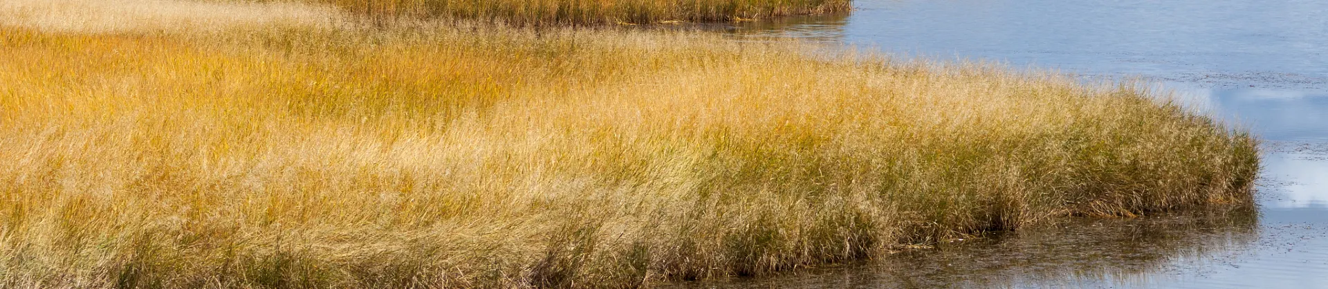 Attrazioni per la visione autunnale