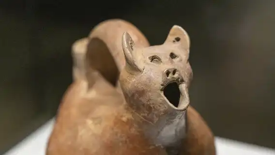 Jinan Baotu Spring + Shandong Museum + Qianfo Mountain Scenic Area + Daming Lake Scenic Area Private Charter 1-day Tour with English Service Available