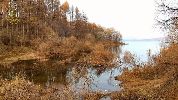 Saruhu Ancient City Site