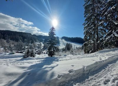 Ski resort Jasenská Dolina