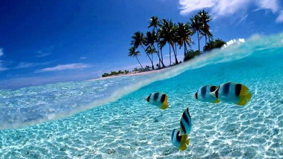 Taman Nasional Bunaken