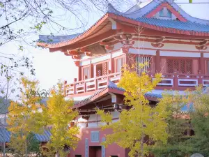 South Shaolin Temple Site