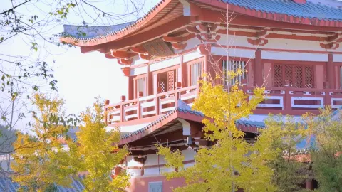 Putian Southern Shaolin Temple attraction in Putian