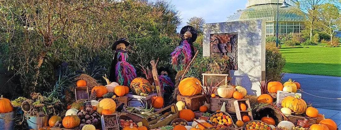 Fall Viewing Attractions