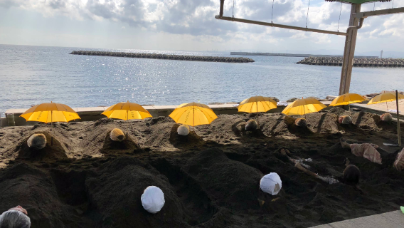 Beppu Beach Sand Bath
