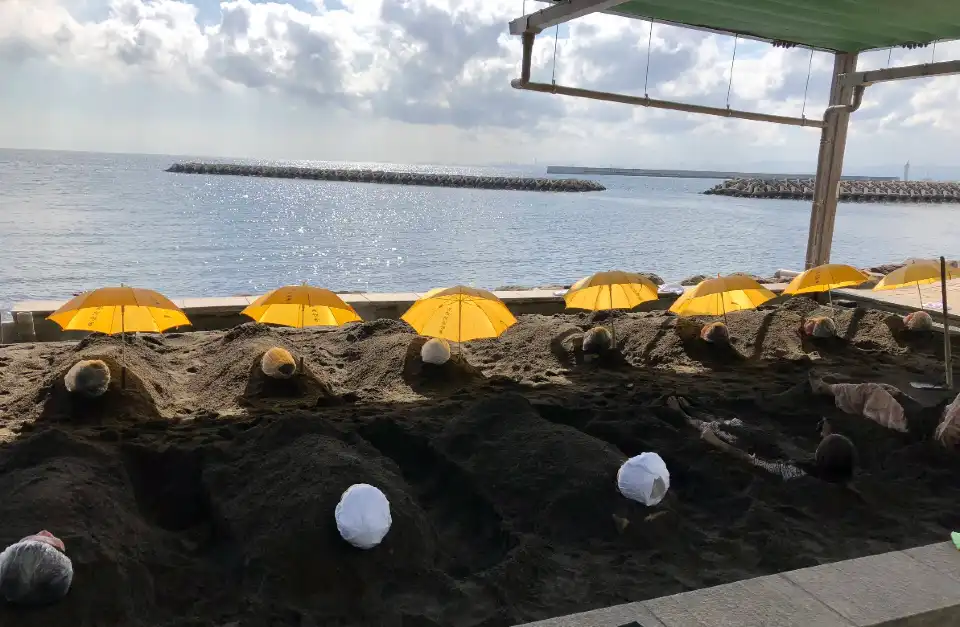 別府景點, 別府海濱砂場