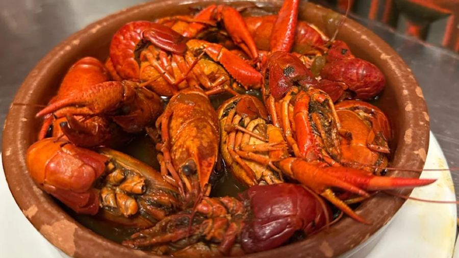 Restaurante Casa Amadeo los Caracoles