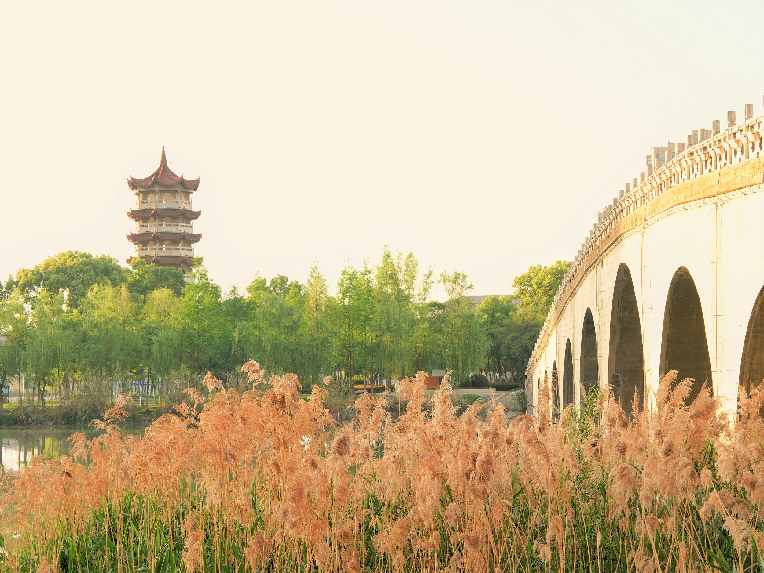 雲夢的熱門遊賞秋景好去處
