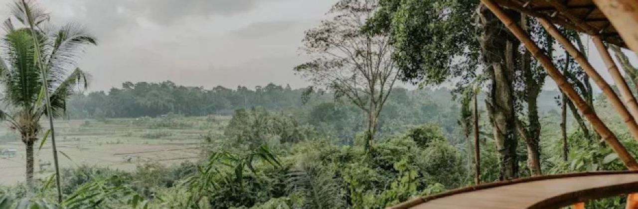 Sunset Bar - Bambu Indah Resort