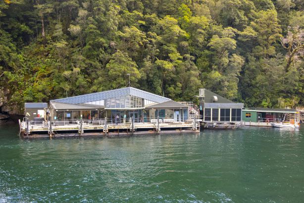 Milford Sound Underwater Observatory - Southern Discoveries