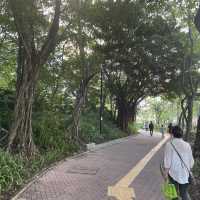 青衣好去處