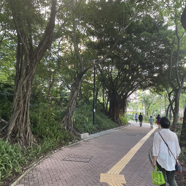 青衣好去處