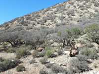 Afternoon hikes in Toubkal National Park