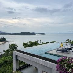 Baba nest User Photo