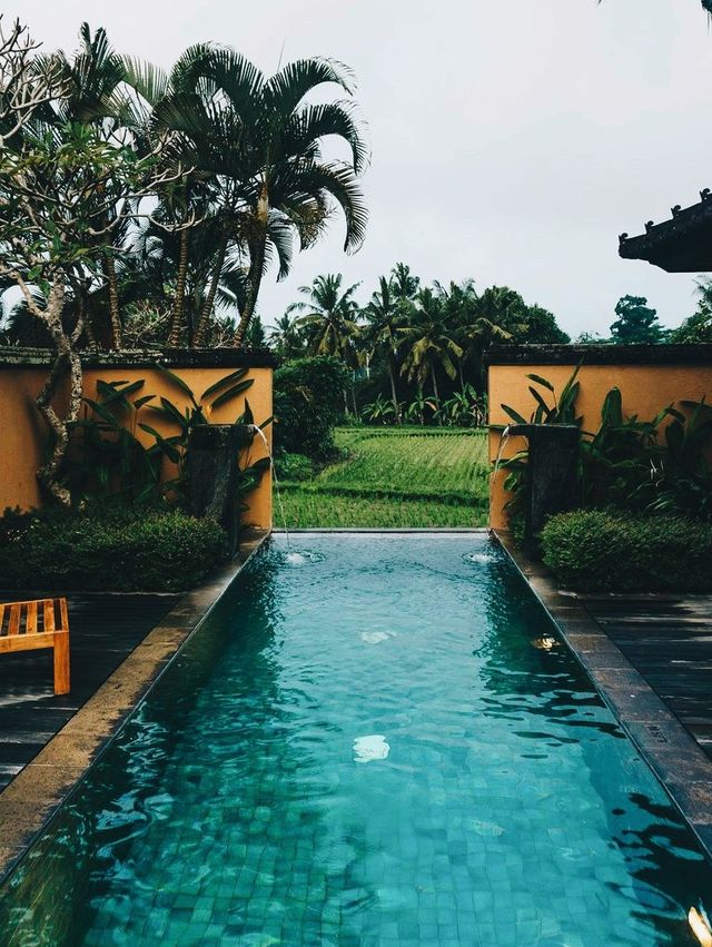 Sanctuary in Bali