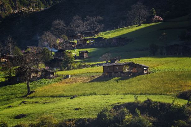 霧裡村