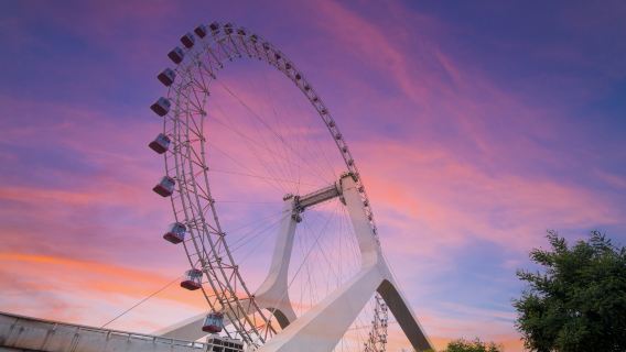 Tianjin Eye Ferris Wheel + 1-day tour| With professional guide providing full buided commentary