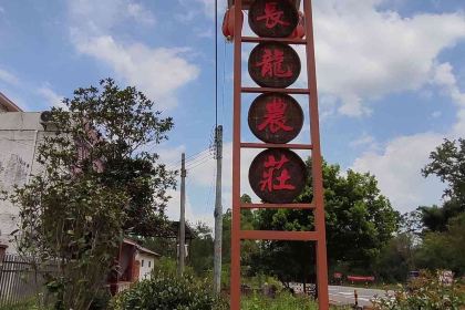 长龙农庄