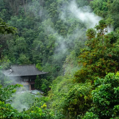 西雙版納 飛 大同