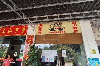 长龙农庄