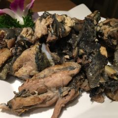 A MUSHROOM User Photo