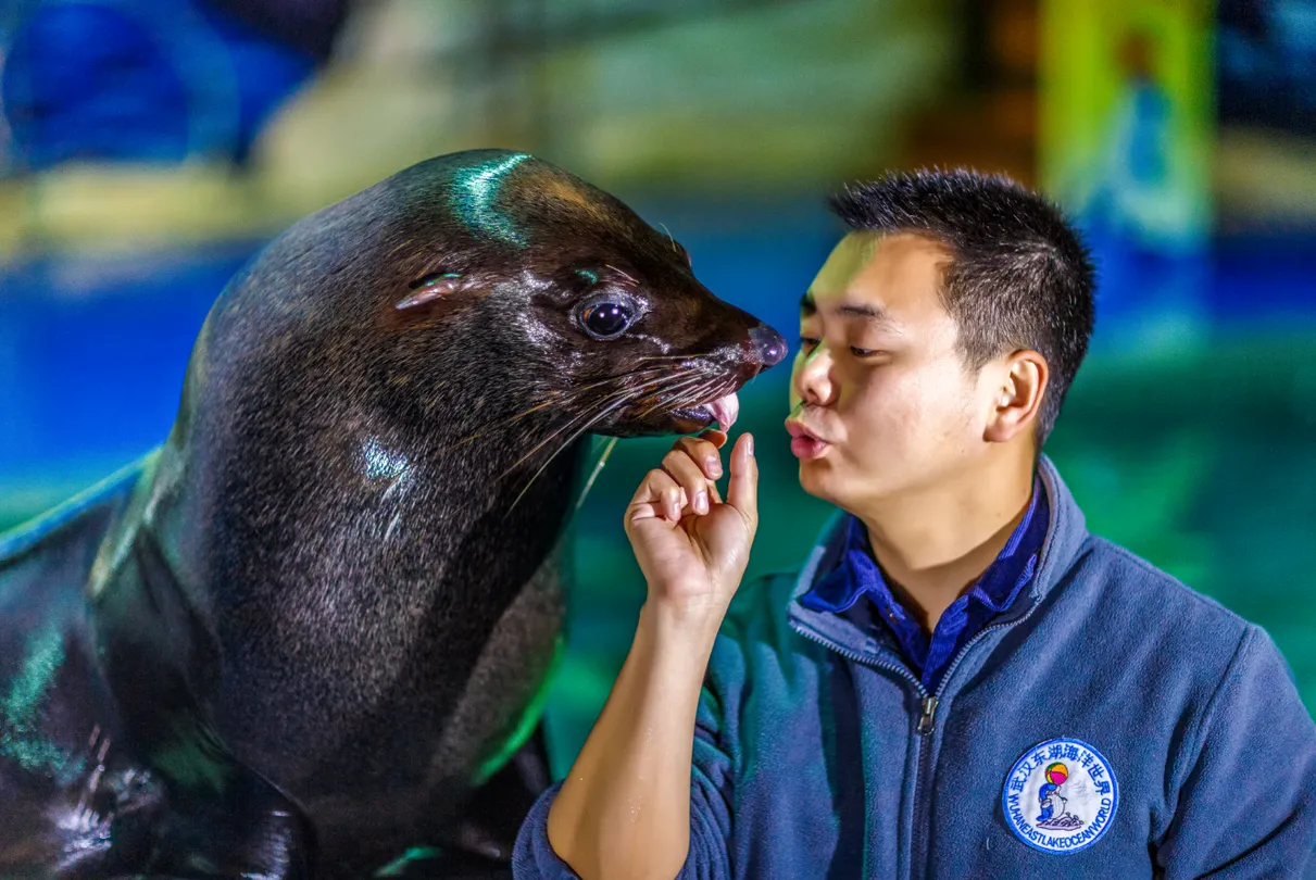 5_Wuhan East Lake Ocean World