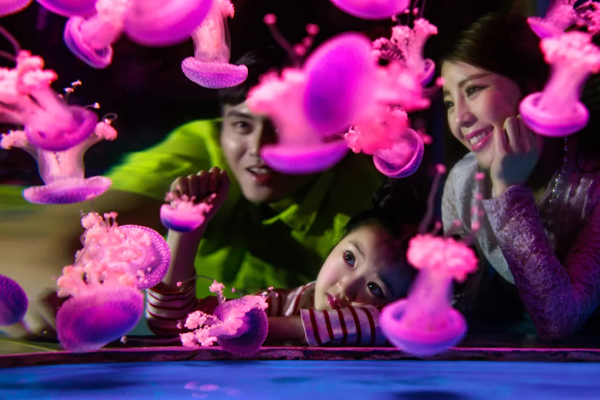 4_Wuhan East Lake Ocean World