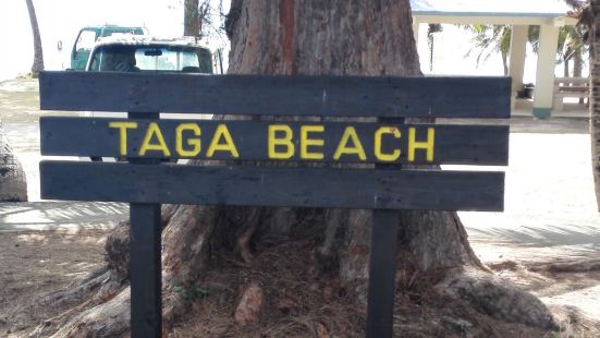 塔加海滩是天宁岛最大的沙滩，拥有延绵的白色沙滩且水心不深，是