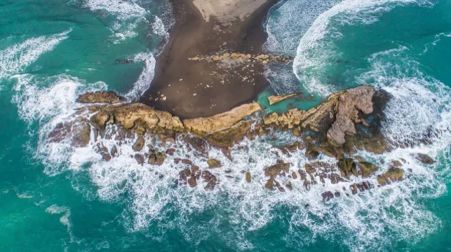 ゴールデンボトルコースト