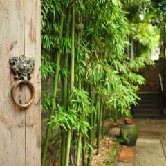 HARMONY GARDEN User Photo